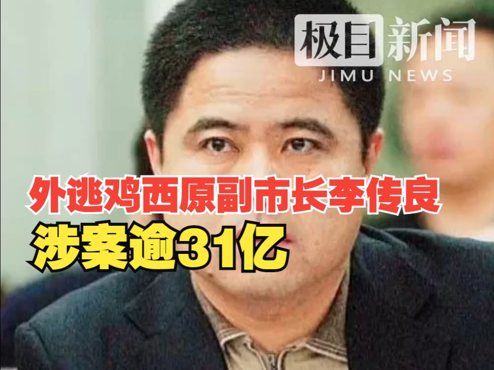 外逃鸡西原副市长李传良涉案逾31亿,查封房产千余处哔哩哔哩bilibili