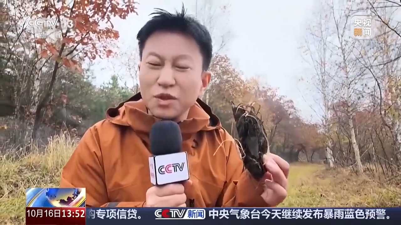 “非常腥臭、终生难忘”！记者闻东北虎粪便表情“烧心” 摄像师闻吐了