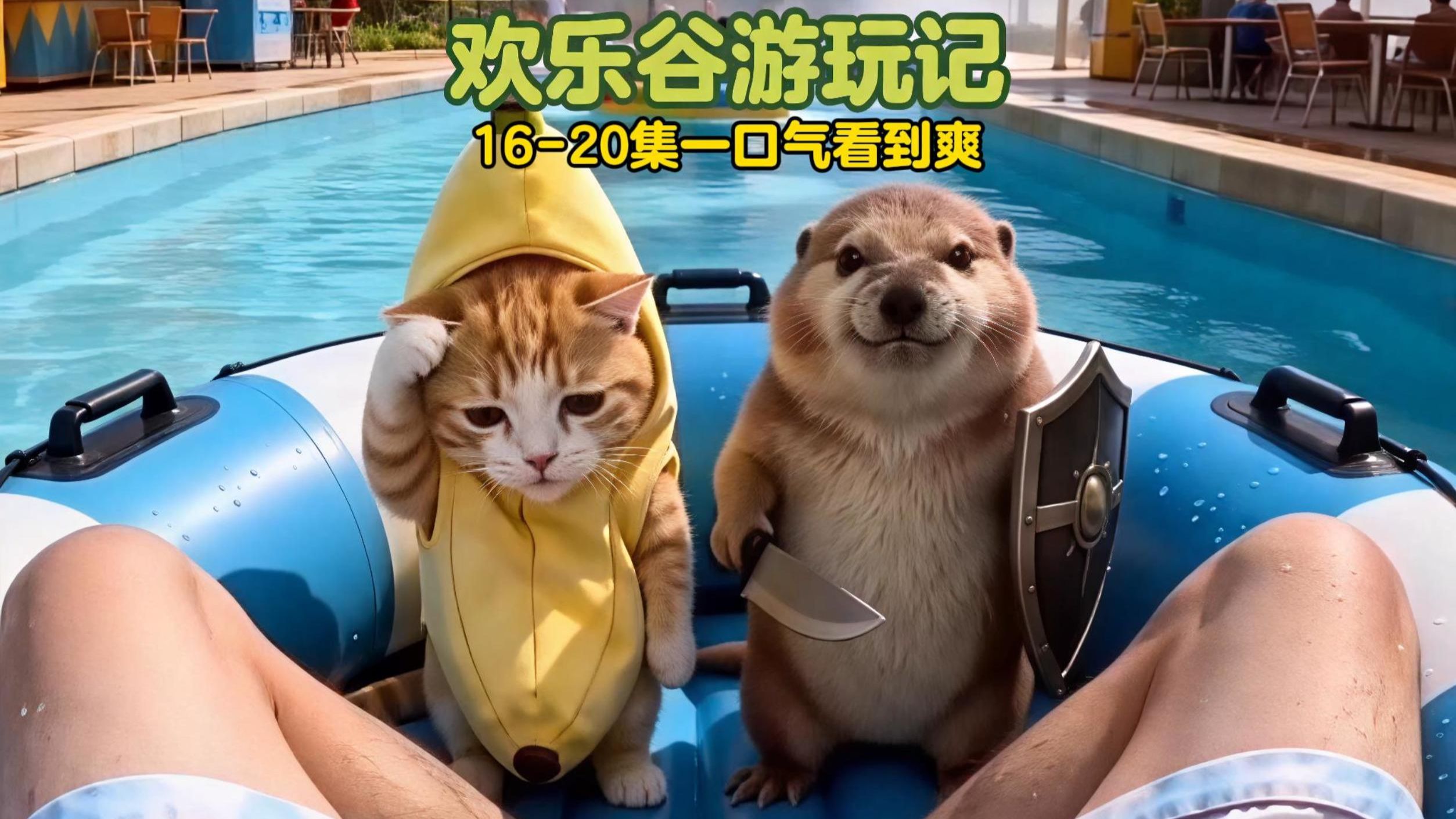 比比拉布和刀盾的生活日记16-20集一口气看到爽