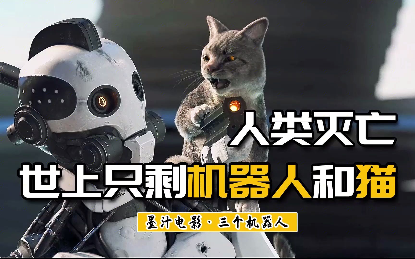 人类灭亡,世界上只剩机器人和猫-《三个机器人》
