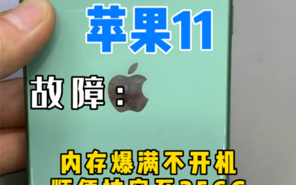苹果11 内存爆满 白苹果重启 保资料 顺便扩容至256G #自贡手机维修哔哩哔哩bilibili