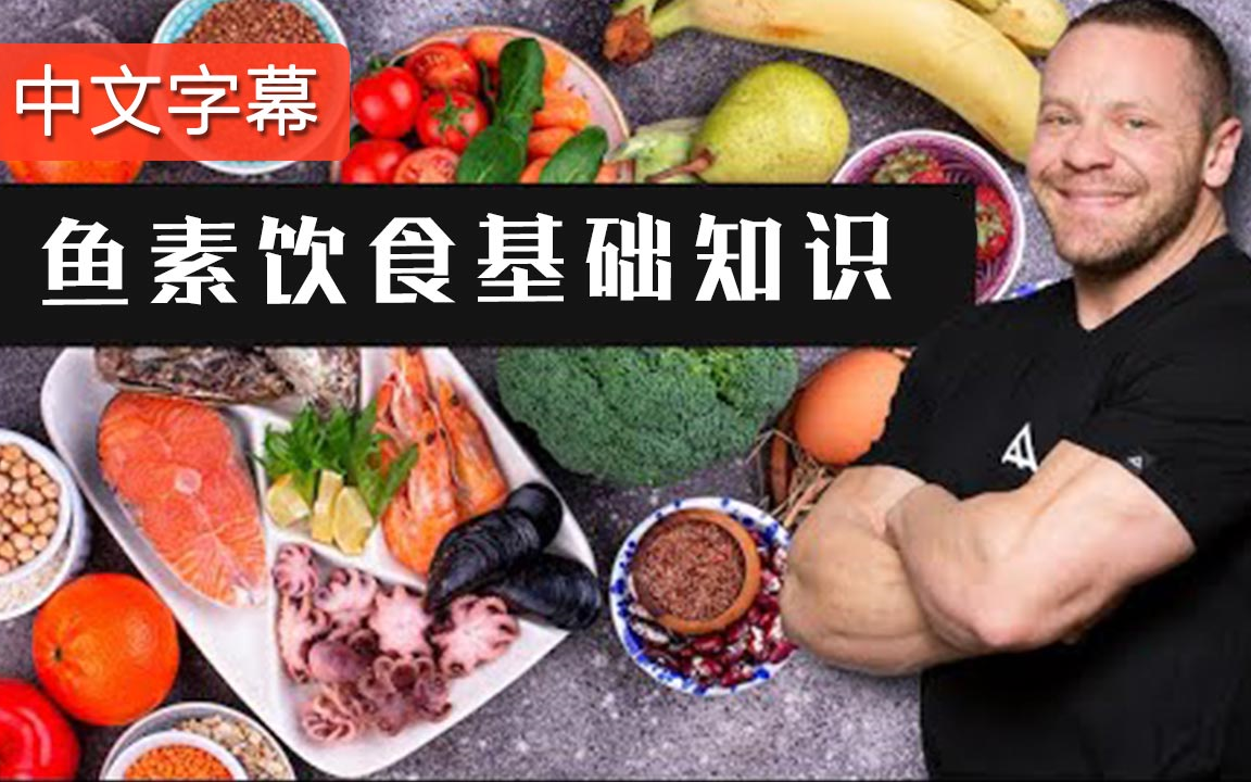 什么是“鱼素饮食”?| 中文字幕哔哩哔哩bilibili