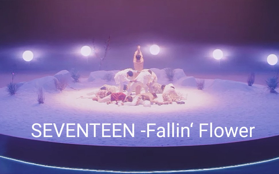 seventeenmv飄落的花瓣fallinflower