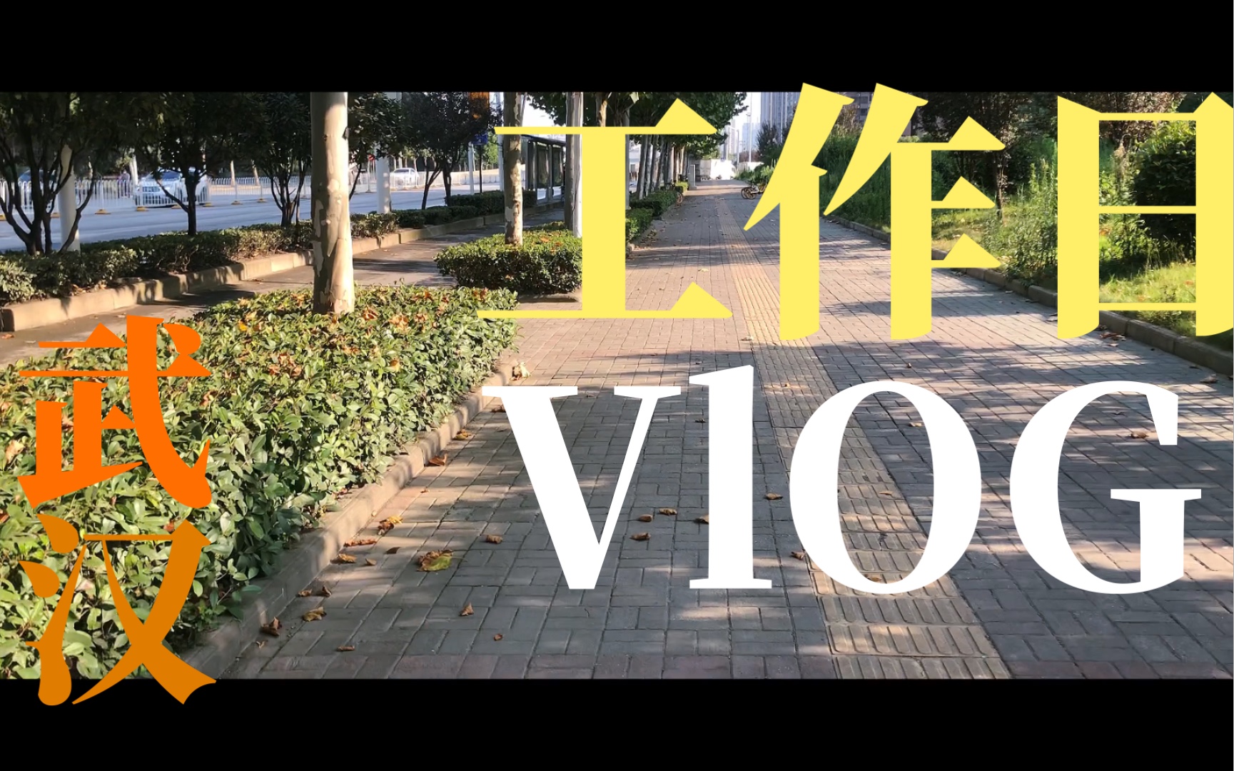 vlog01‖疫情下的出行丨武漢公共交通丨工作日隨手拍