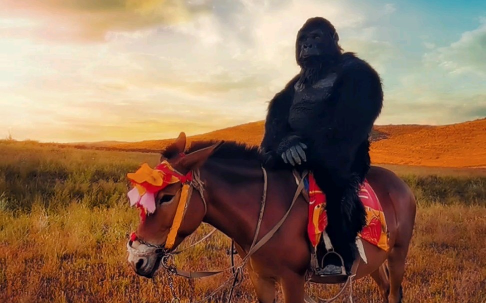 大猩猩骑马背枪图片图片