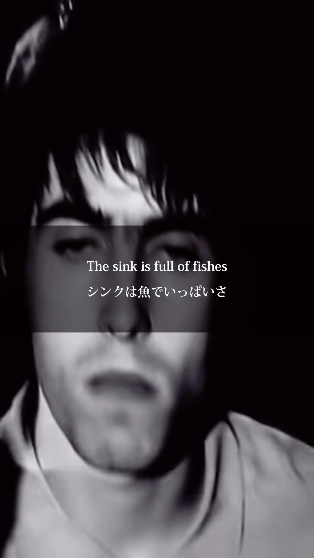 【请求和译】oasis some might say请求募集中!