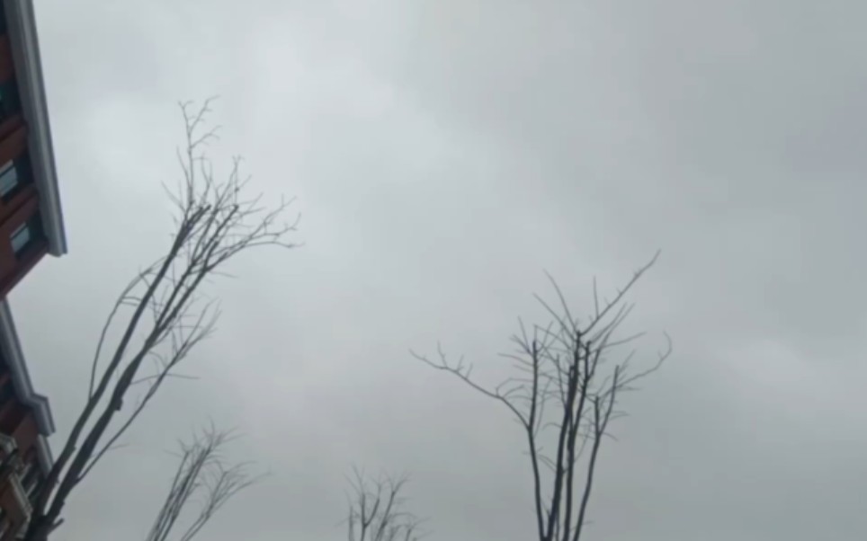 【气象观测】【天气】14日中午下的一阵冻雨-木卫七-木卫七-哔哩哔哩