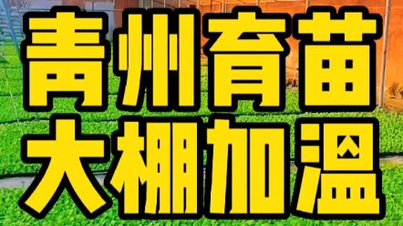 山东青州农业育苗基地温室大棚加温,使用飞龙水源热泵空调机组.哔哩哔哩bilibili