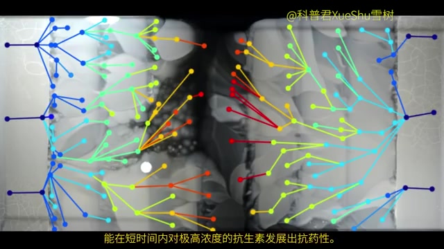 [图]细菌的抗药性演示