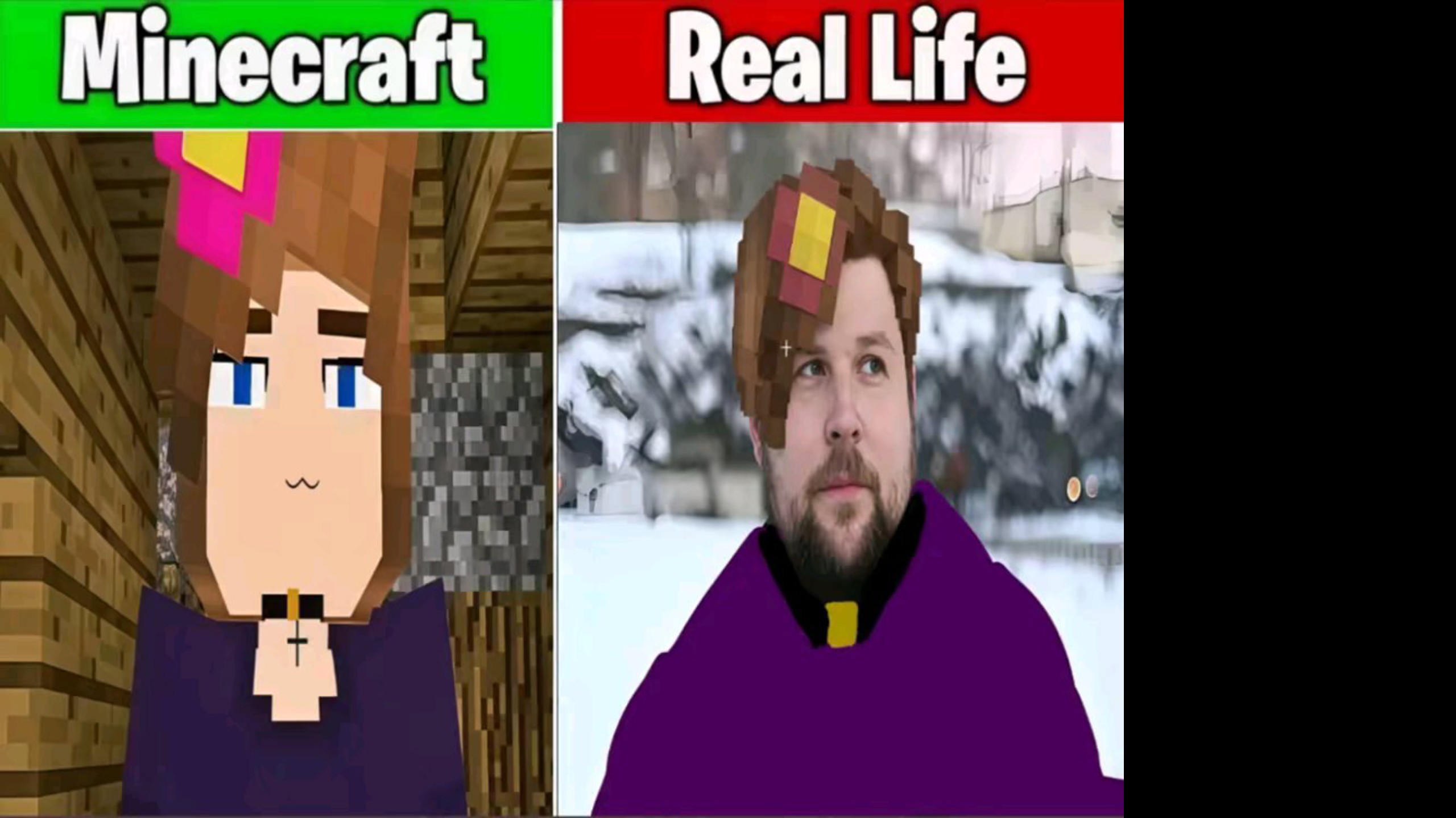 Minecraft vs Real life海报