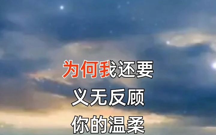 邂逅的酒吧哔哩哔哩bilibili