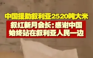 Descargar video: 中国援助叙利亚2520吨大米 叙红新月会长：感谢中国始终站在叙利亚人民一边