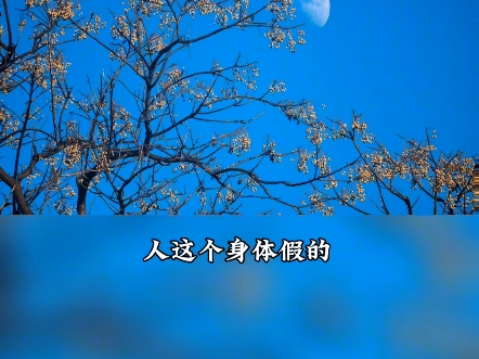 悟实相才能救自己 体佛法师开示哔哩哔哩bilibili