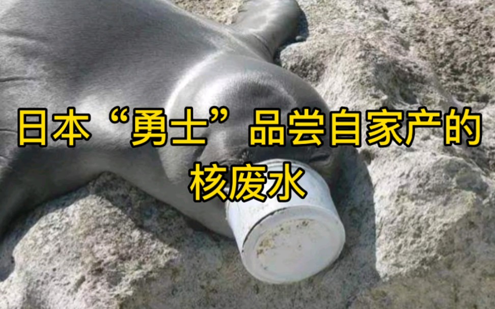 日本"勇士"品尝自家核废水!