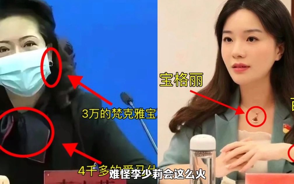 难怪李少莉局长会这么火,李少莉能红是有道理的,网友都低看了她.哔哩哔哩bilibili