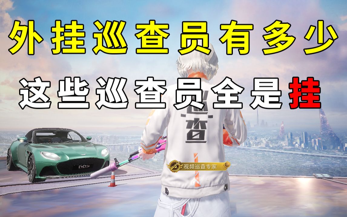 这些外挂全是巡查员_和平精英_解说