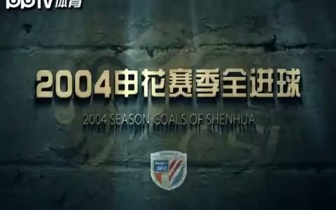 上海申花2004赛季中超联赛全部进球哔哩哔哩bilibili