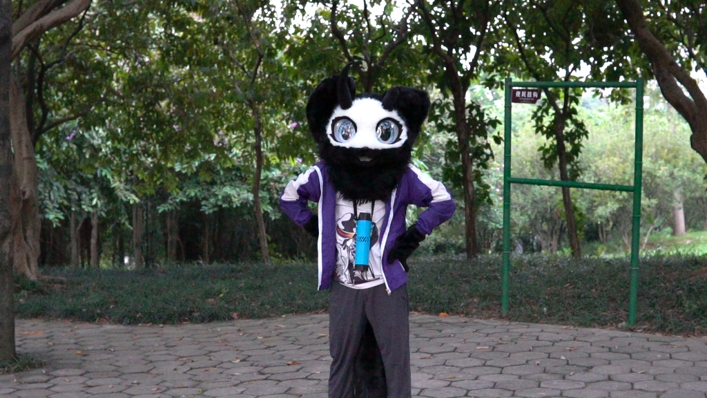 给给的12秒玛卡莲娜舞