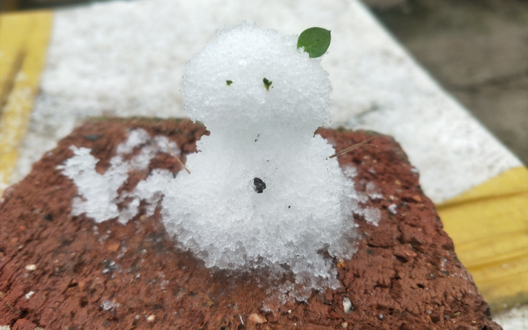 南方小孩堆雪人