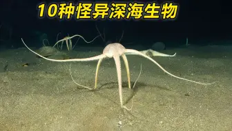 这不是科幻电影，这是2400米深海底！10种令人毛骨悚然的海洋生物