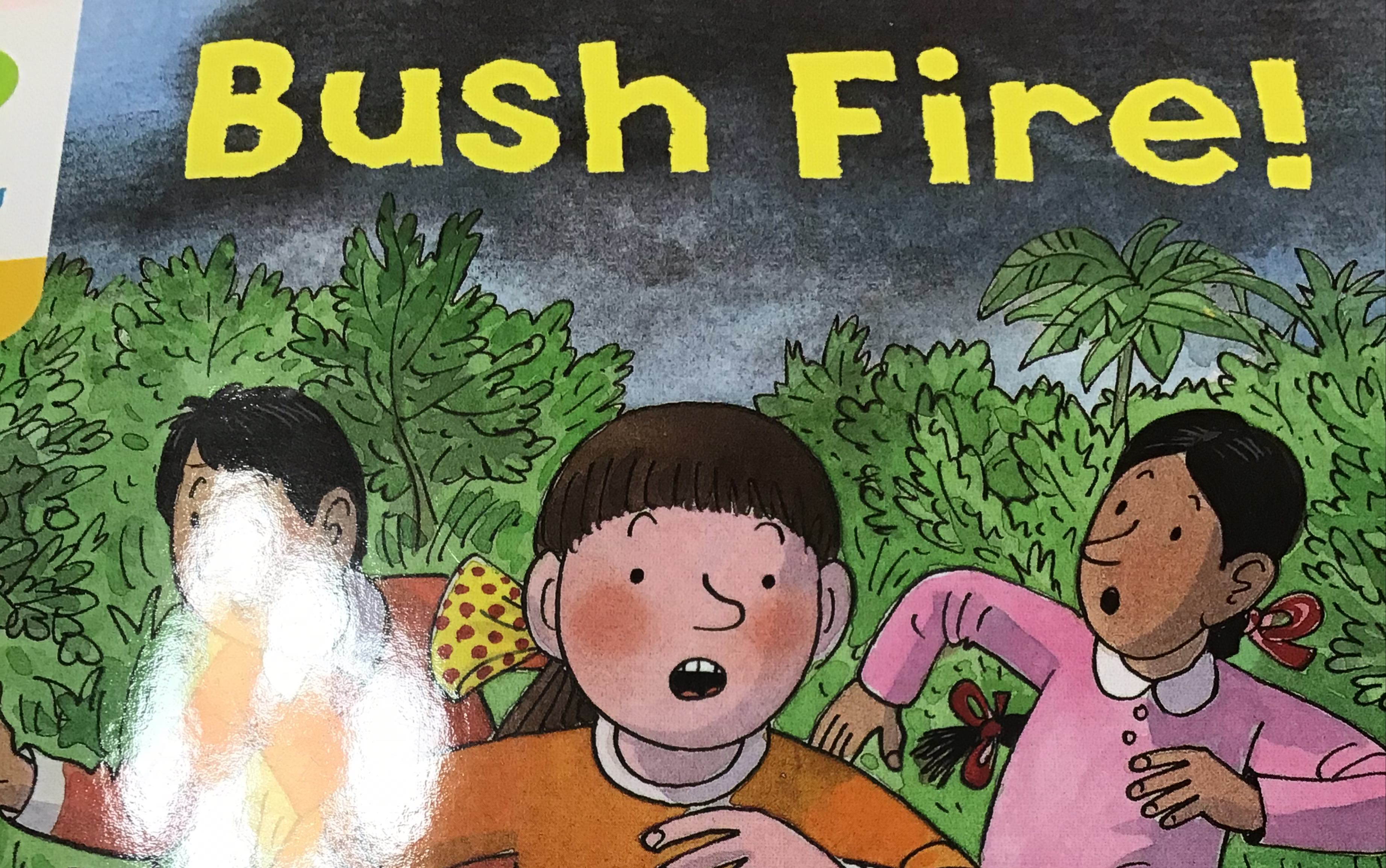 Bush Fire 阅读记录哔哩哔哩bilibili