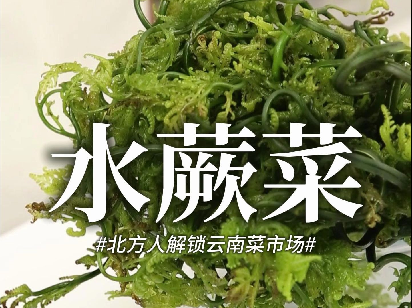 第一次吃不长毛的“水蕨菜”,云南的野菜真的太多了!哔哩哔哩bilibili