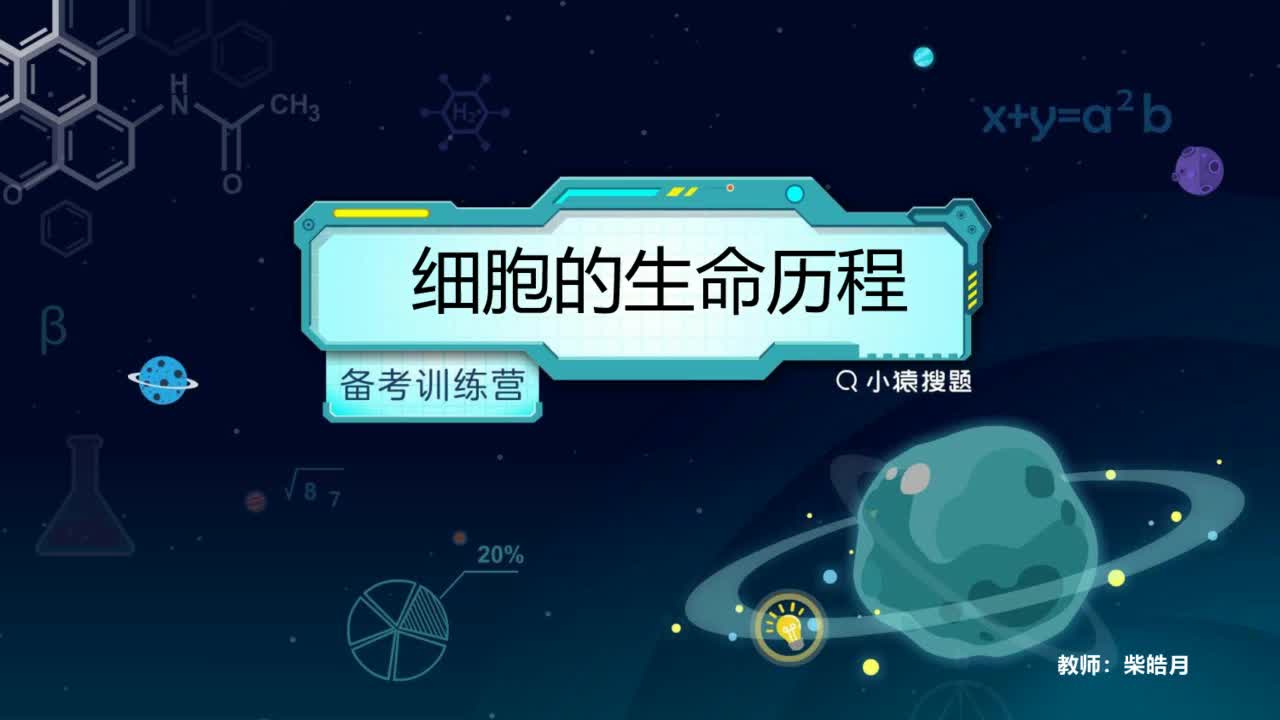 细胞的生命历程(有丝分裂与减数分裂)哔哩哔哩bilibili