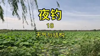 Download Video: 夏季夜钓实战，天气和结构的重要性。天气与水中溶氧密切相关。#钓鱼 #夜钓 #趋氧