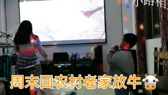 周末回农村老家放牛！