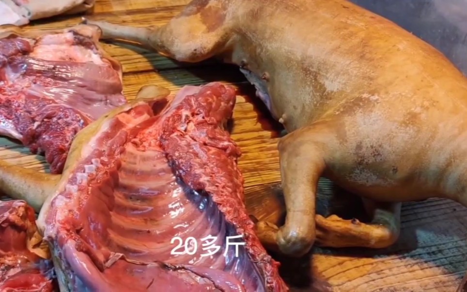 中国最好吃的狗肉在广西,玉林脆皮狗肉皮脆金黄,男女老少都爱吃_哔哩