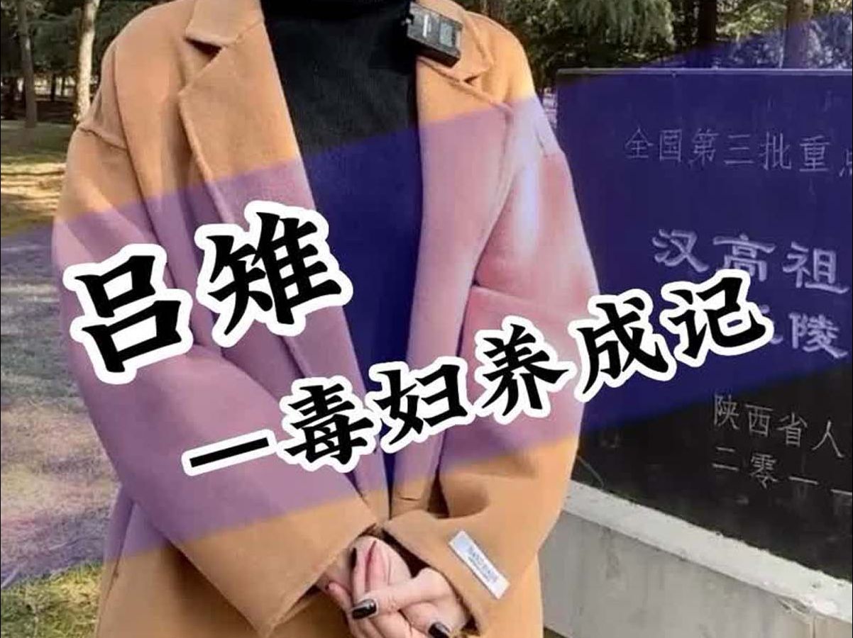 心狠手辣的吕雉,史学家为何却对她评价如此之高?哔哩哔哩bilibili