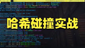 Debian 上安装 boost 编译出 fastcoll：生成两个相同 md5 值的二进制文件
