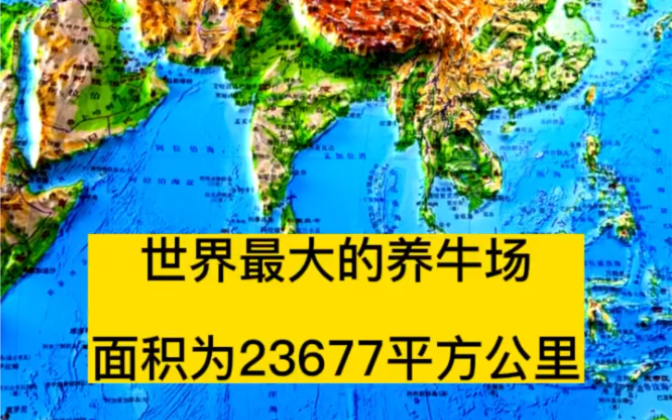 世界最大的养牛场,总面积为23677平方公里,相当于北京和上海总面积之和哔哩哔哩bilibili