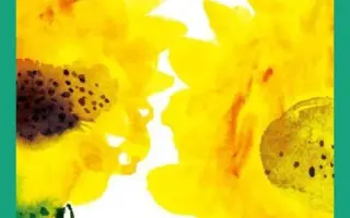 紫阳花dew 搜索结果 哔哩哔哩 Bilibili