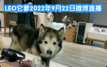 [图]LEO它爹2022年9月22日微博直播