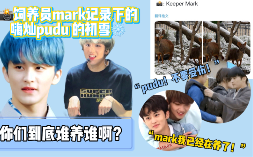 [图]「马东」可爱死了！嗨灿普度的饲养员是mark?楷灿：我已经在养了！所以你们到底是谁养谁啊？