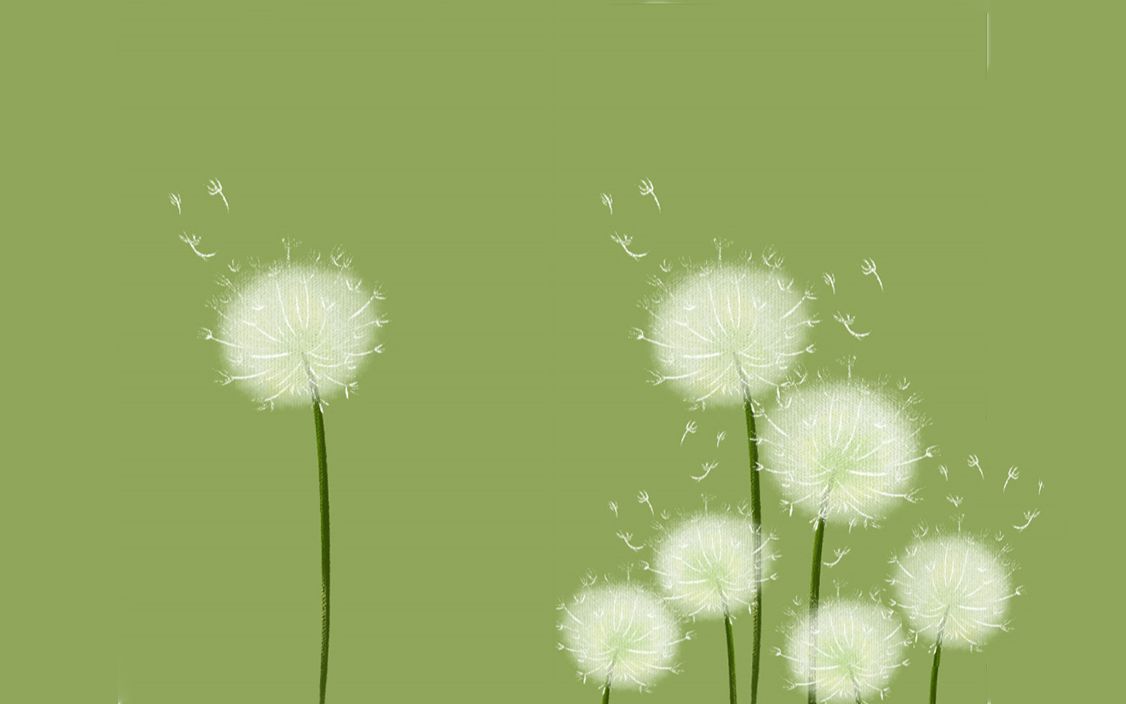 【插画视频教程】#扁平细腻风插画#最简单好看的蒲公英插画绘画过程