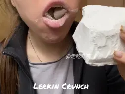 Download Video: lerkin自制冻干奶粉块造型食玩