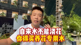 Download Video: 养花自来水都不能用了，谁发明下养花专用水