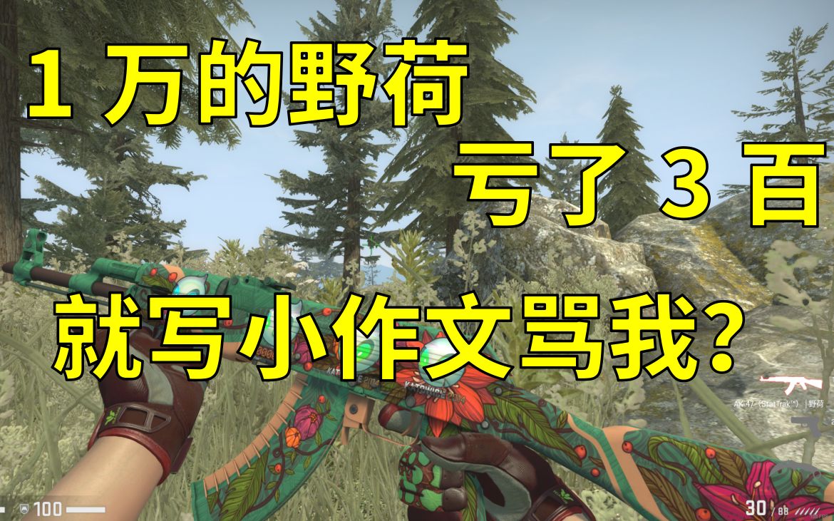 CSGO1万的野合,因为亏了3百,写小作文来骂我?还不是我的锅!哔哩哔哩bilibili