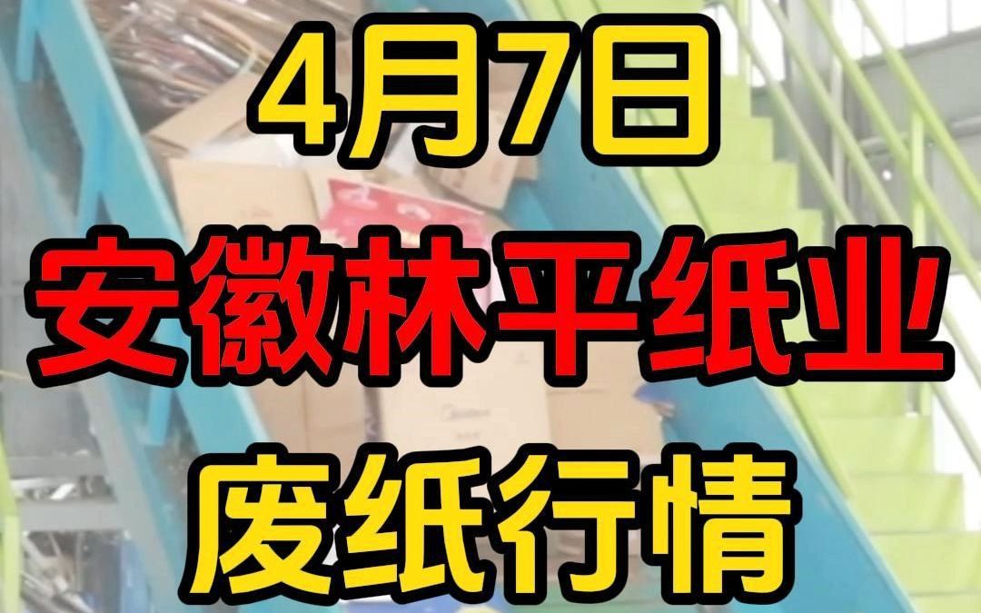 安徽萧县林平纸业今日废纸行情更新哔哩哔哩bilibili