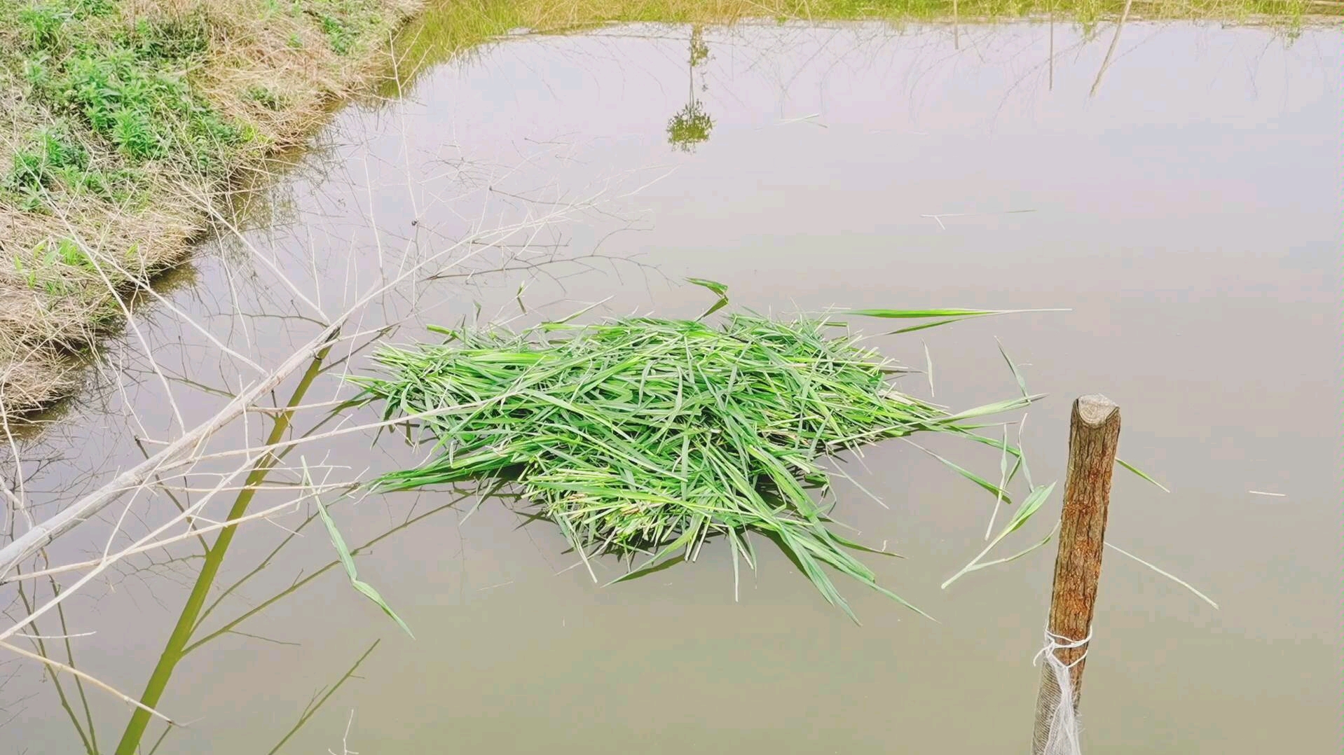 [图]水面风平浪静，水下暗流涌动