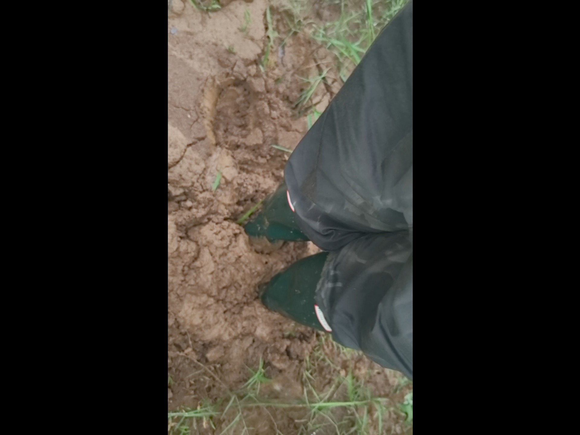 穿原野绿hunter女款雨靴踩泥