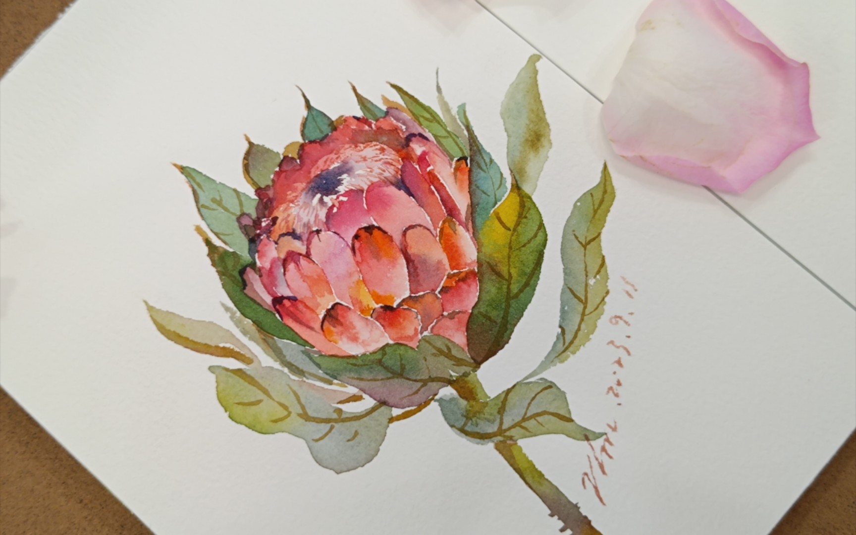 水彩《帝王花》绘画过程