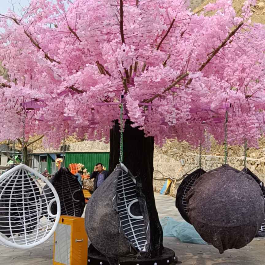 农场/公园/庙会引流爆款项目 樱花树下的网红秋千