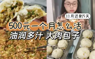 Télécharger la video: 今天做了大肉包，连包子皮都是香的，就是一次做太多，太累人了！