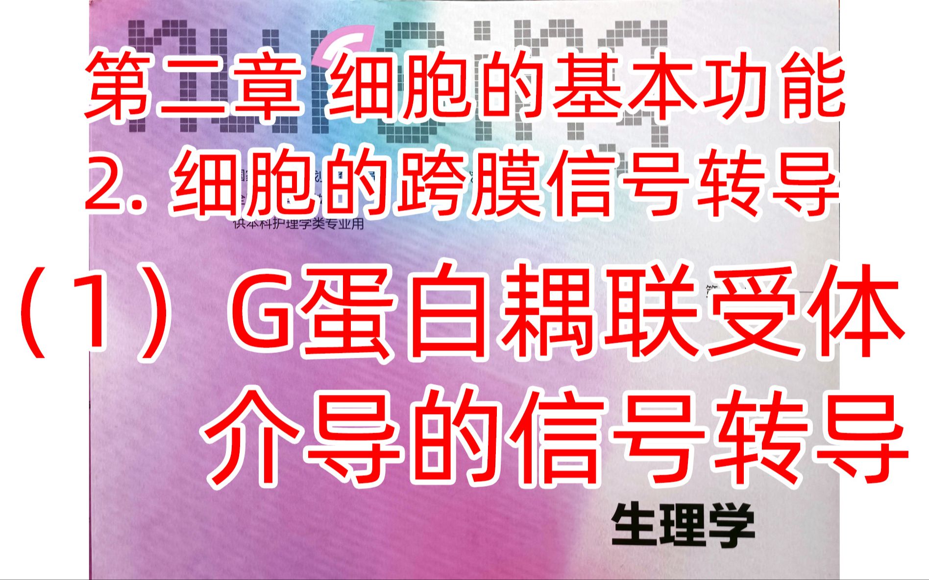 《生理学》细胞4G蛋白耦联受体介导的信号转导哔哩哔哩bilibili