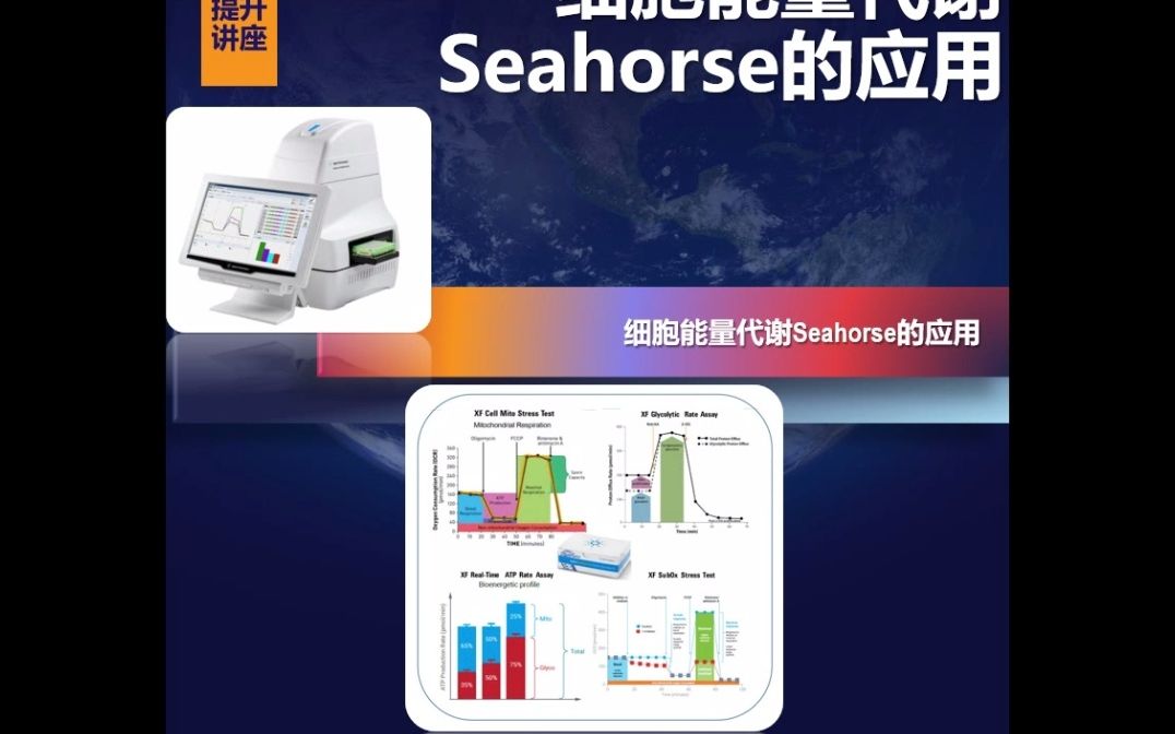 细胞能量代谢仪(seahorse)的应用答疑哔哩哔哩bilibili