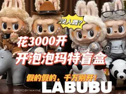 Tải video: 花3000开拉布布盲盒，心碎一地！没有你想的那么简单！看拉布布打架？