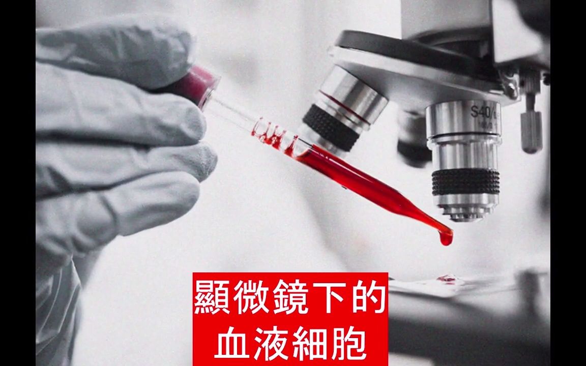 [图]【微觀世界】影片告訴你 人體內的血液細胞 在顯微鏡下所呈現的樣貌